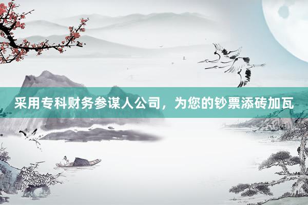 采用专科财务参谋人公司，为您的钞票添砖加瓦